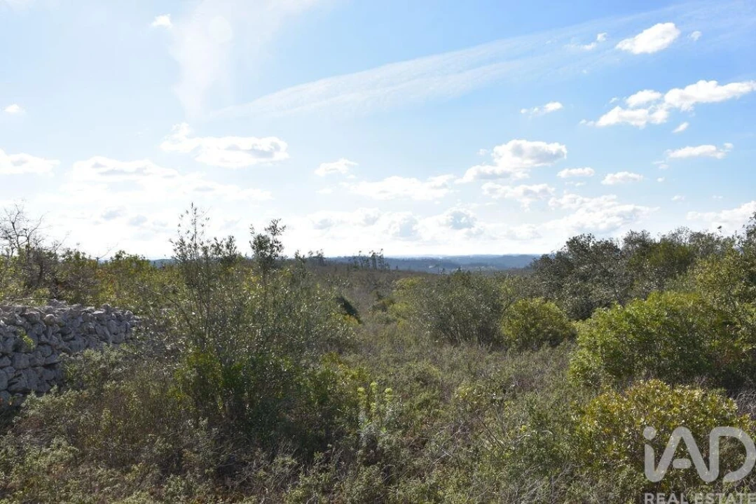 Terreno para Venda em Chãos Foto 14