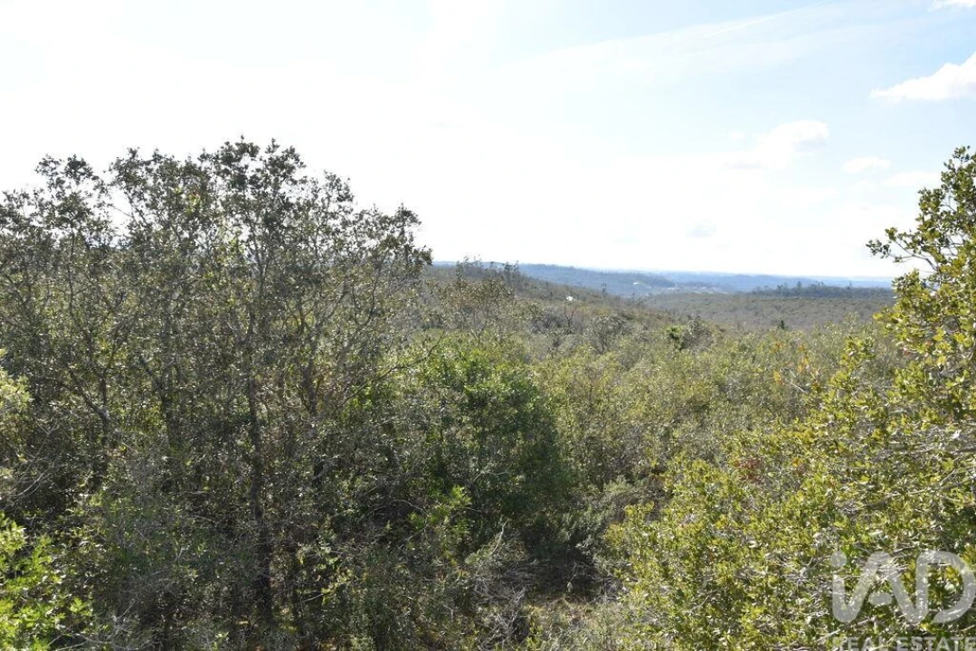 Terreno para Venda em Chãos Foto 8