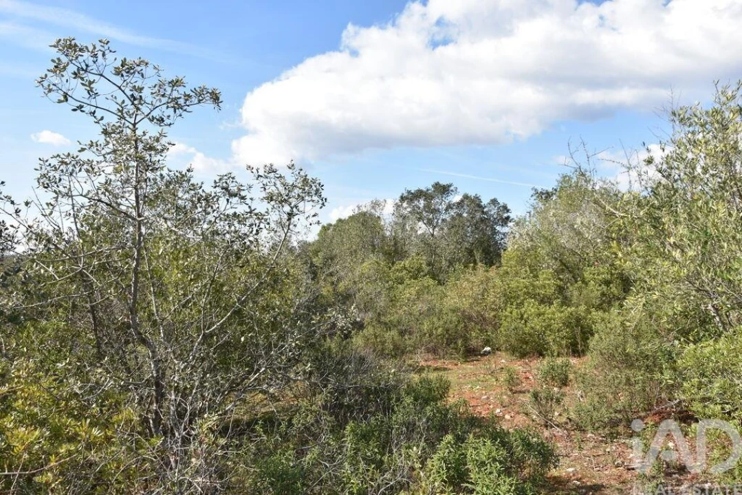 Terreno para Venda em Chãos Foto 25