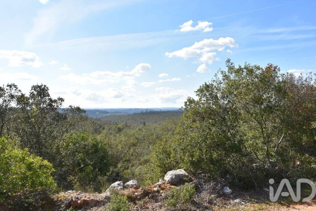 Terreno para Venda em Chãos Foto 1