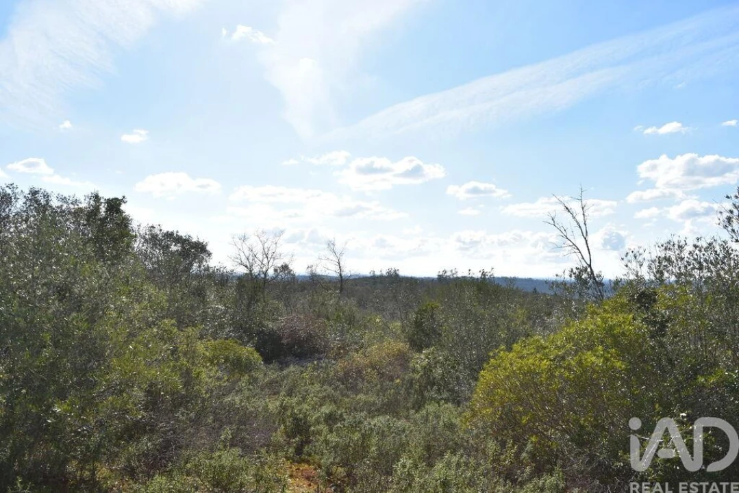 Terreno para Venda em Chãos Foto 30