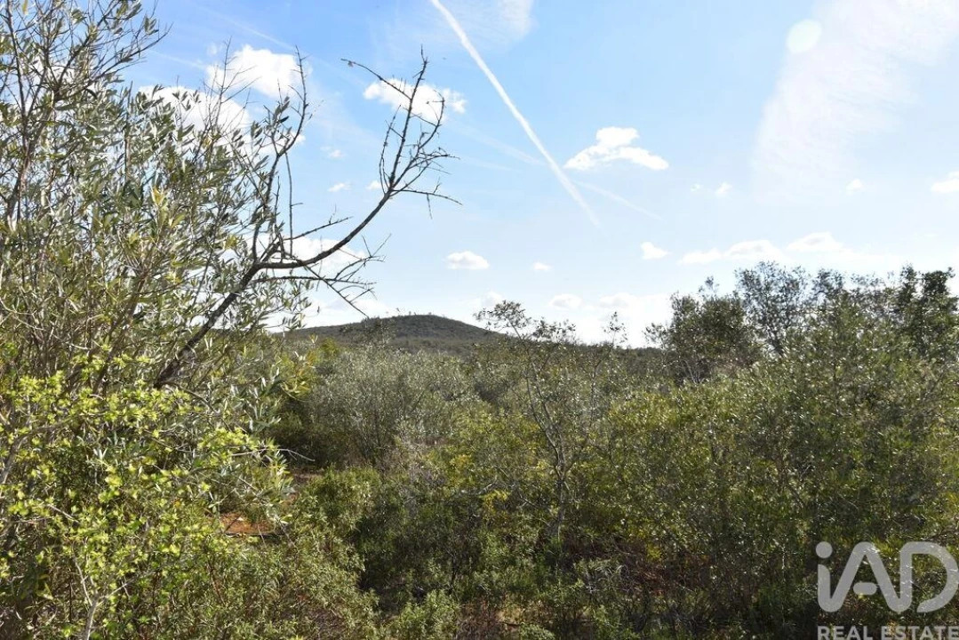 Terreno para Venda em Chãos Foto 29