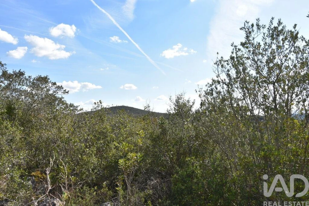 Terreno para Venda em Chãos Foto 35