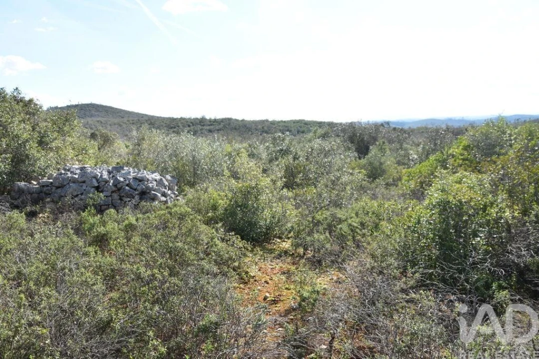 Terreno para Venda em Chãos Foto 31