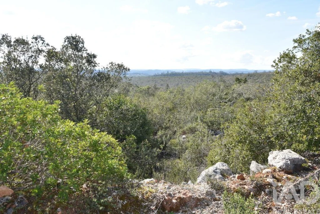 Terreno para Venda em Chãos Foto 38