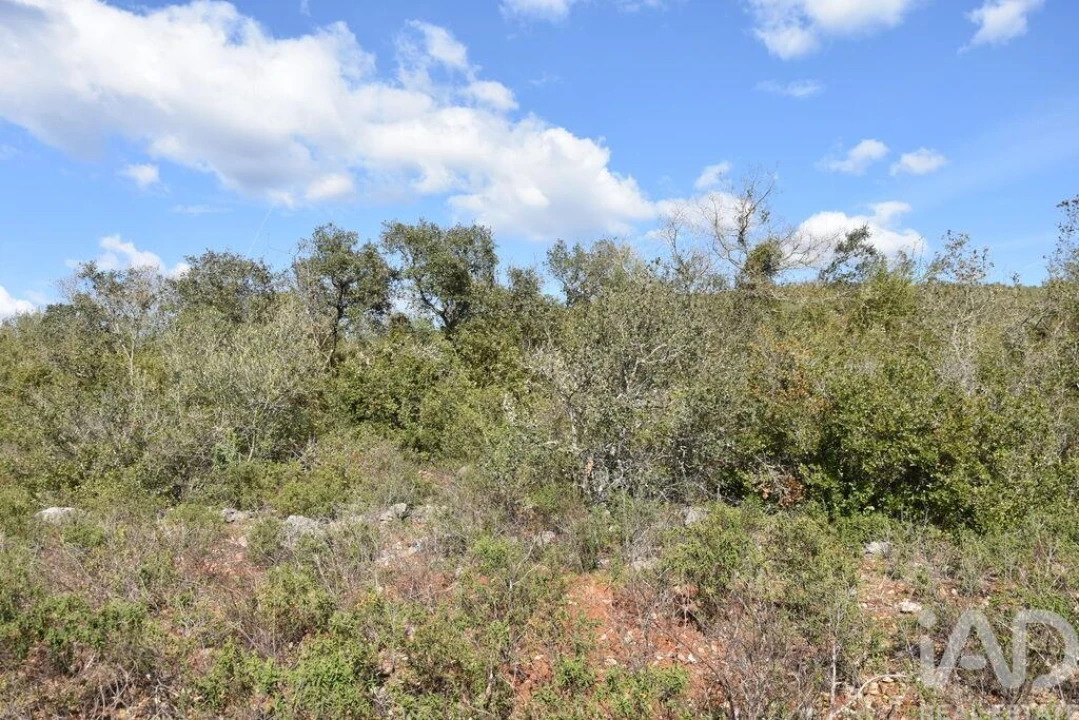 Terreno para Venda em Chãos Foto 16
