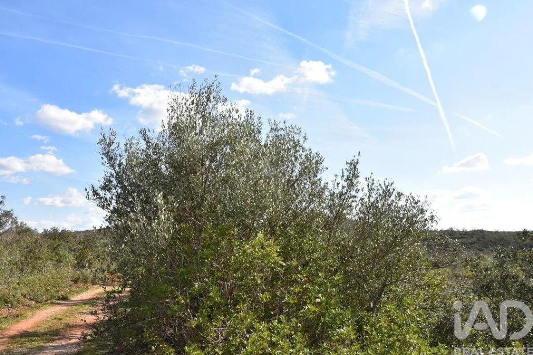 Terreno para Venda em Chãos Foto 6
