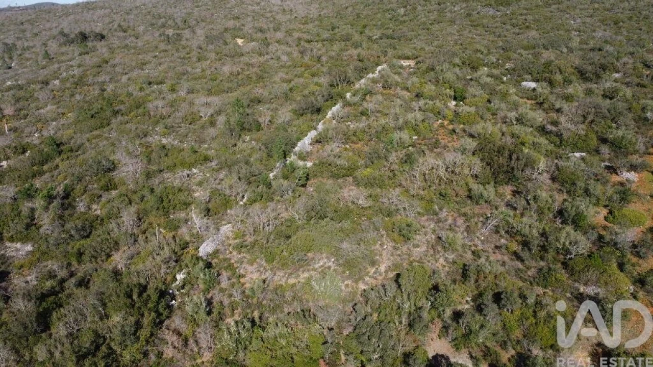 Terreno para Venda em Chãos Foto 40