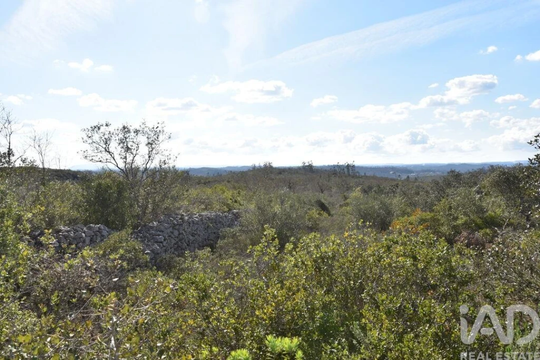 Terreno para Venda em Chãos Foto 10