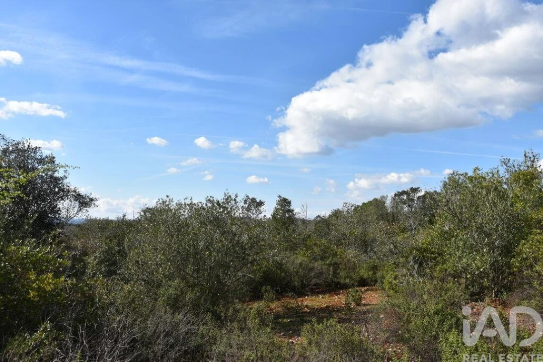 Terreno para Venda em Chãos Foto 22