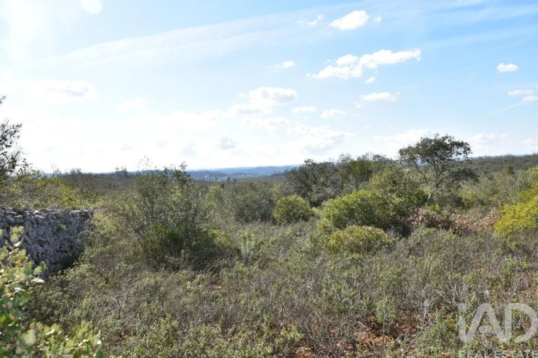 Terreno para Venda em Chãos Foto 13