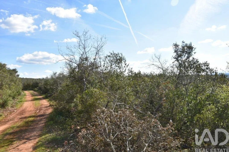 Terreno para Venda em Chãos Foto 4