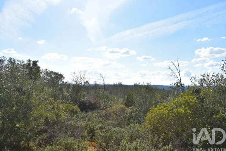 Terreno para Venda em Chãos Foto 30