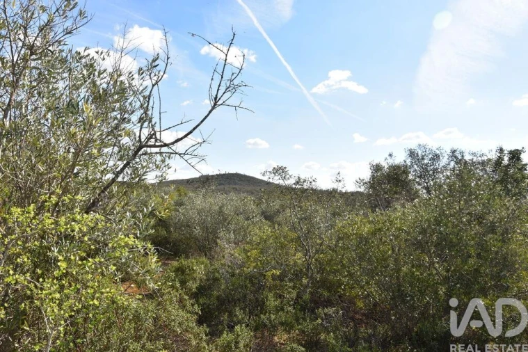 Terreno para Venda em Chãos Foto 29