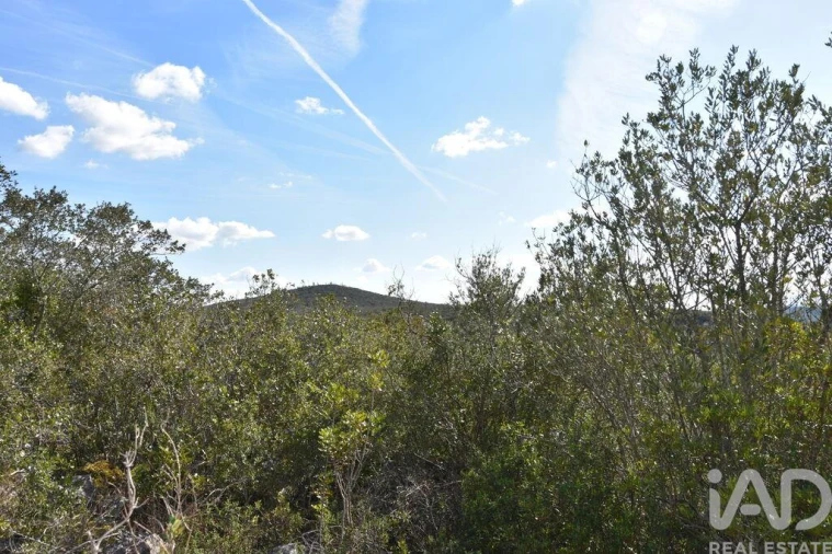 Terreno para Venda em Chãos Foto 35