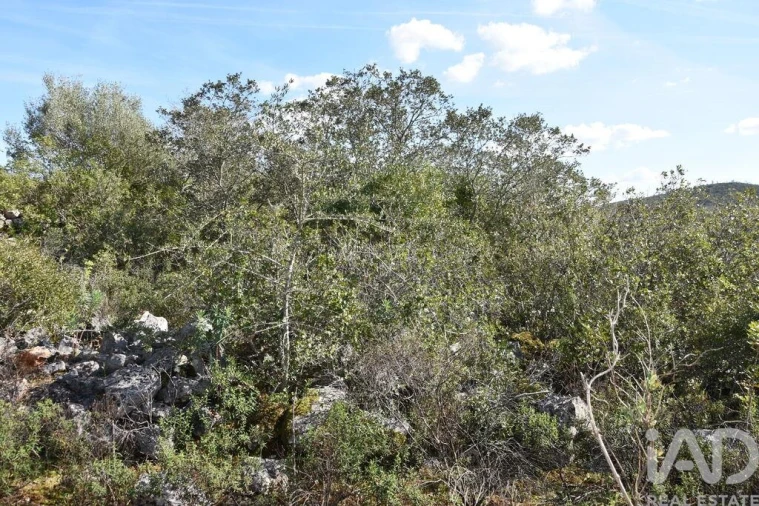 Terreno para Venda em Chãos Foto 34