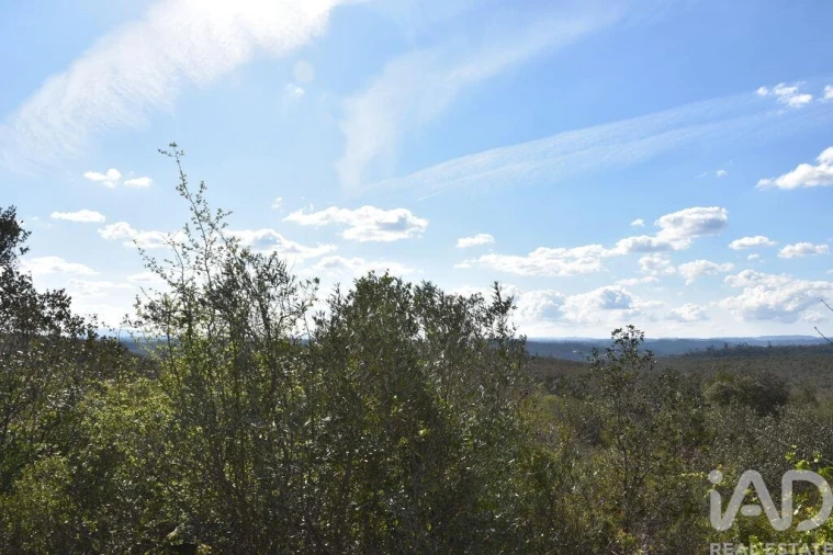 Terreno para Venda em Chãos Foto 9