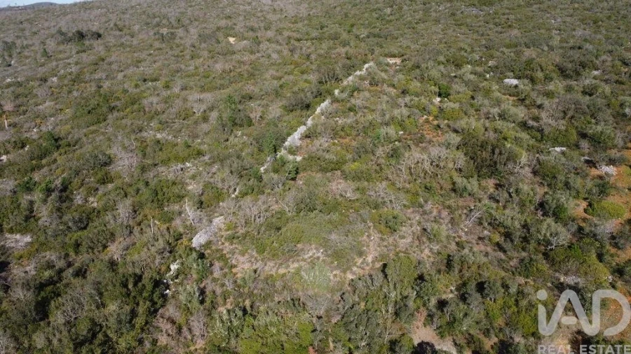 Terreno para Venda em Chãos Foto 40