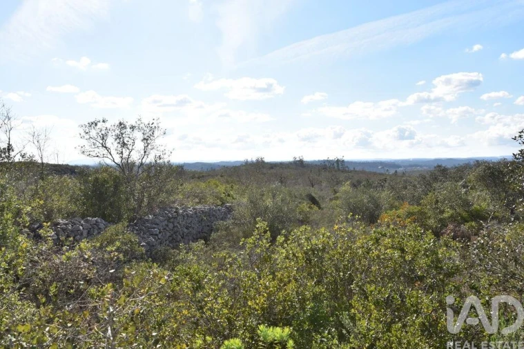 Terreno para Venda em Chãos Foto 10