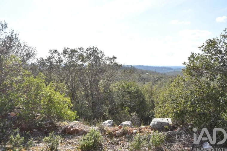 Terreno para Venda em Chãos Foto 37