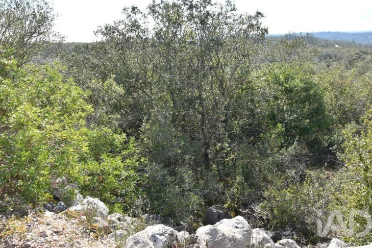 Terreno para Venda em Chãos Foto 7