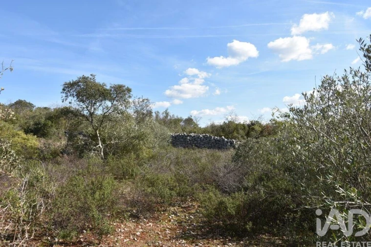 Terreno para Venda em Chãos Foto 24
