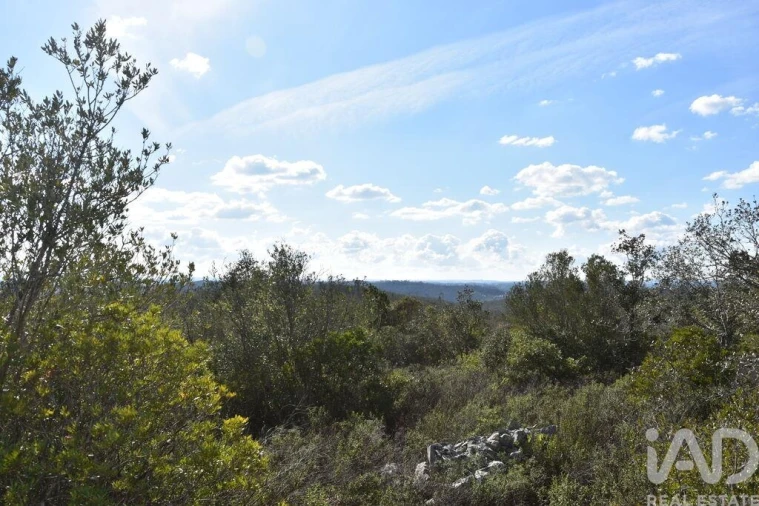 Terreno para Venda em Chãos Foto 36