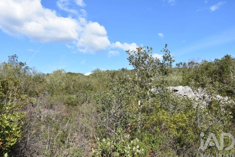 Terreno para Venda em Chãos Foto 27