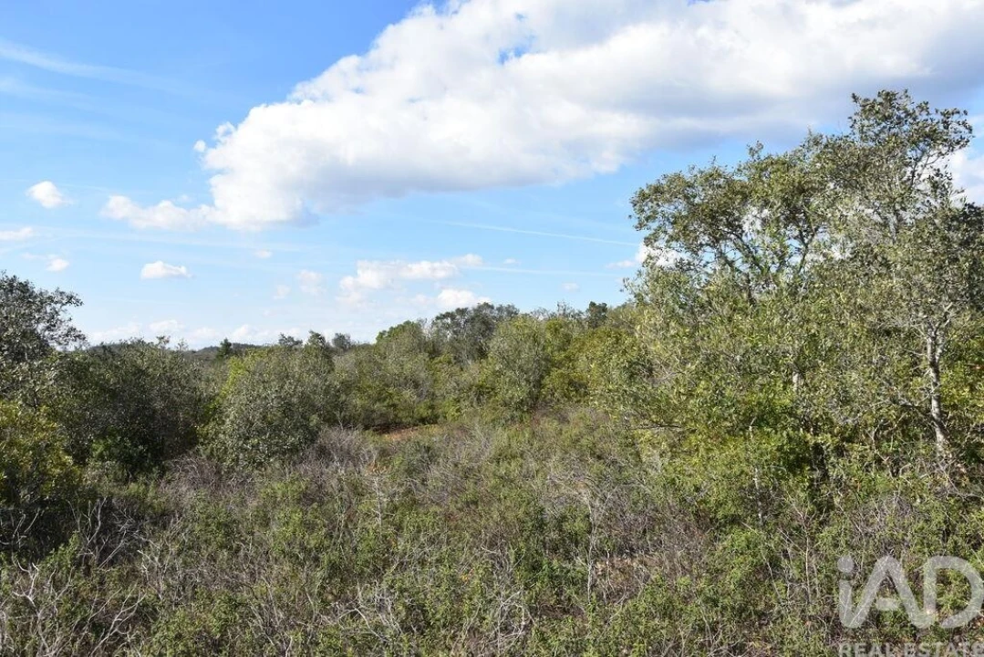 Terreno para Venda em Chãos Foto 19