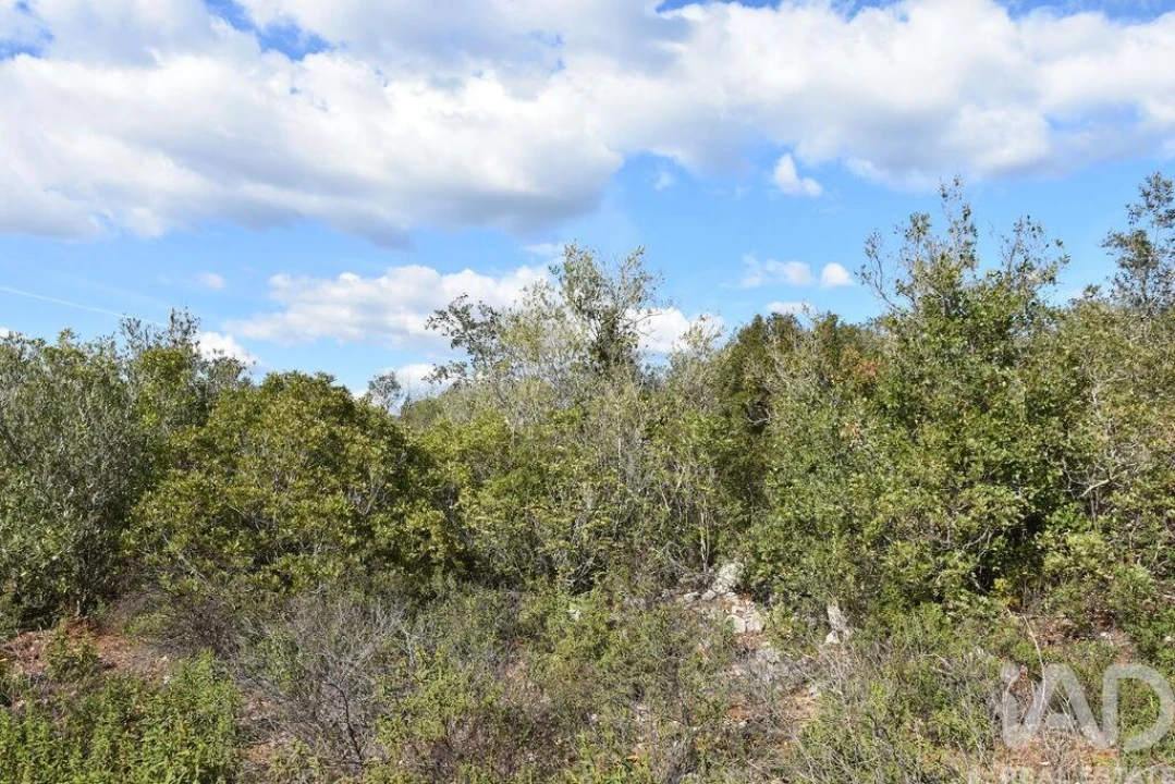 Terreno para Venda em Chãos Foto 21