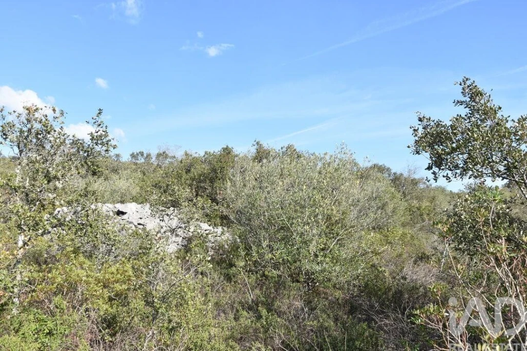 Terreno para Venda em Chãos Foto 28