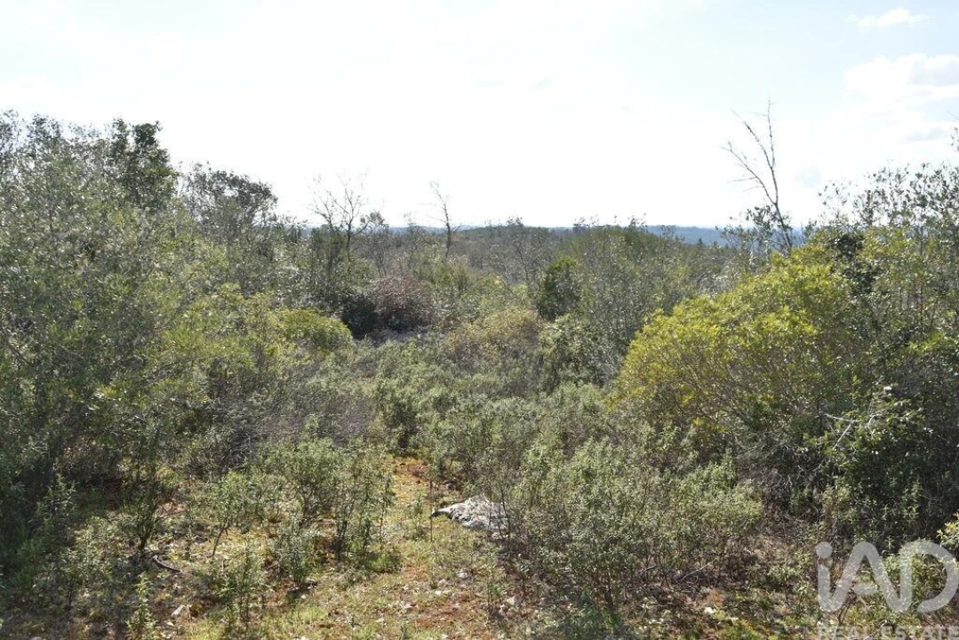 Terreno para Venda em Chãos Foto 26
