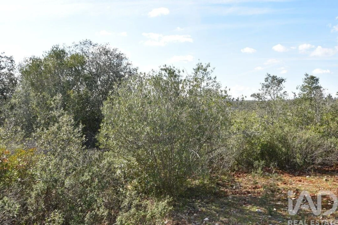 Terreno para Venda em Chãos Foto 23