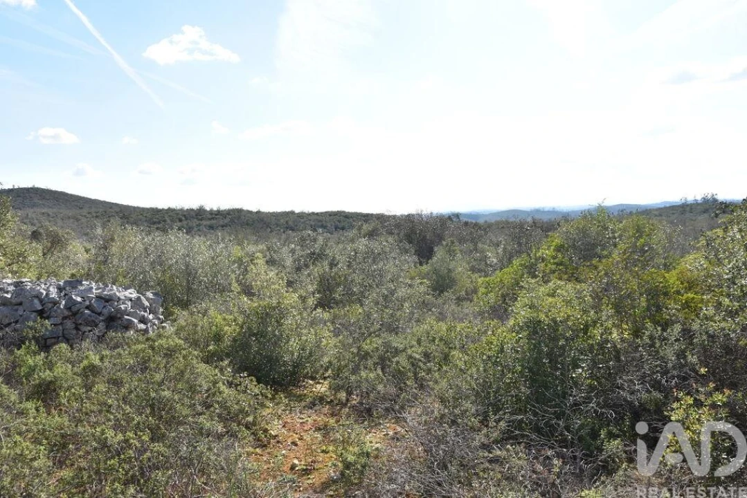 Terreno para Venda em Chãos Foto 33