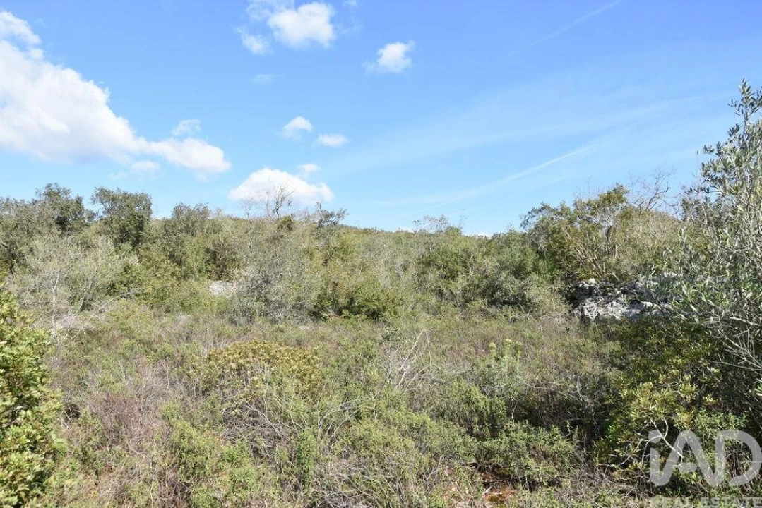 Terreno para Venda em Chãos Foto 5