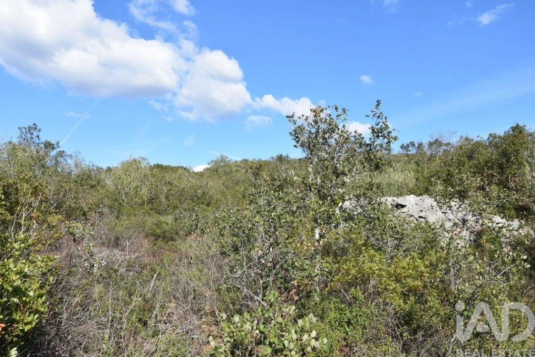 Terreno para Venda em Chãos Foto 27