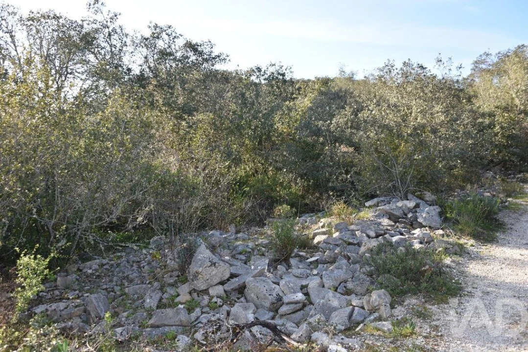 Terreno para Venda em Chãos Foto 21