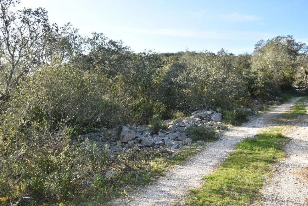 Terreno para Venda em Chãos Foto 23