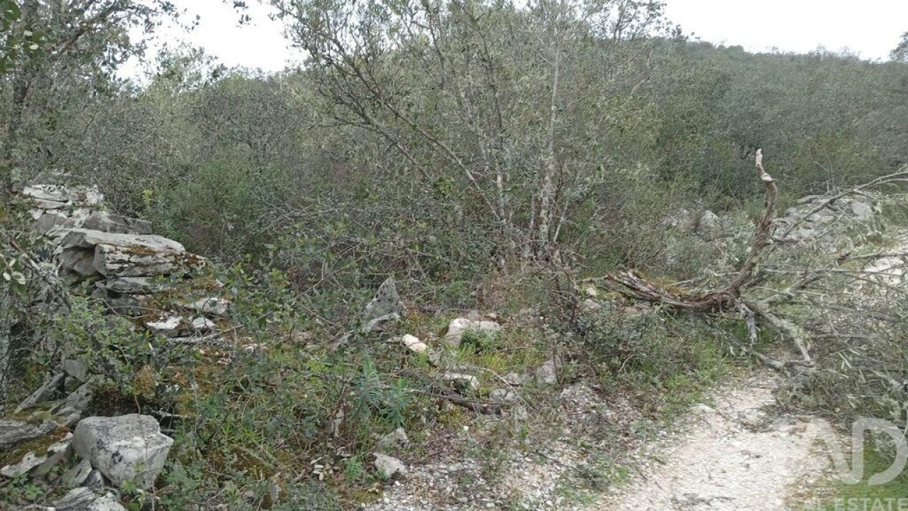 Terreno para Venda em Chãos Foto 22