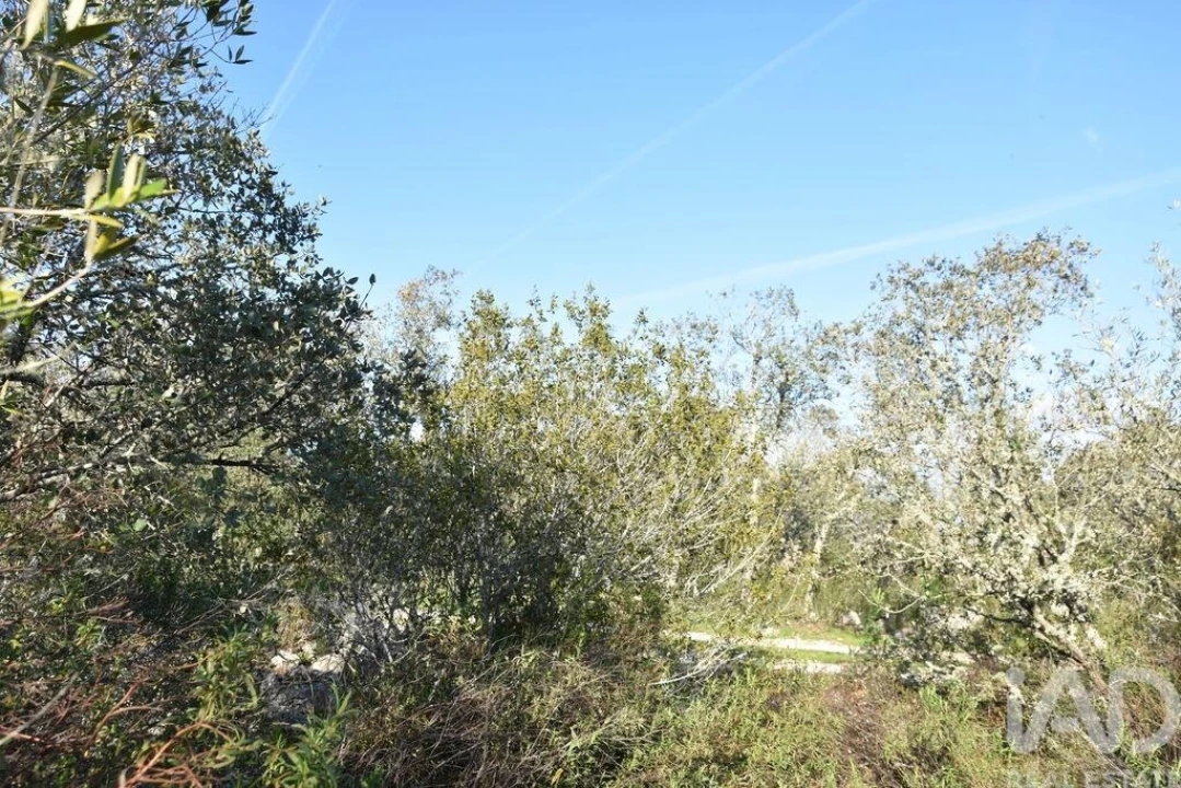 Terreno para Venda em Chãos Foto 3