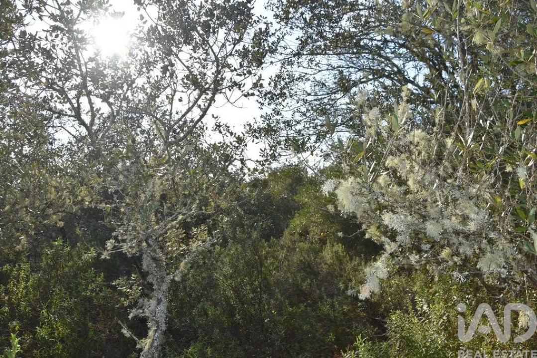 Terreno para Venda em Chãos Foto 12