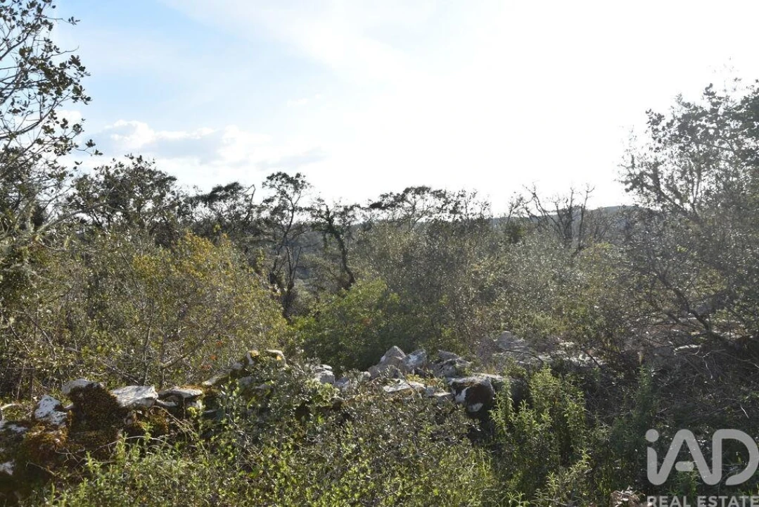 Terreno para Venda em Chãos Foto 1