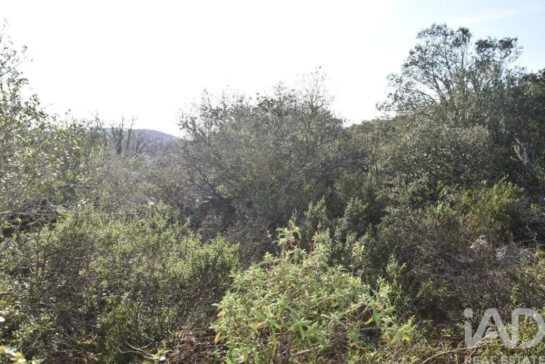 Terreno para Venda em Chãos Foto 7