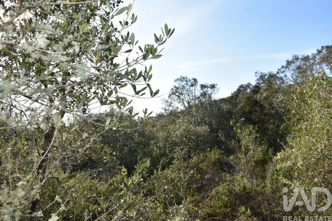 Terreno para Venda em Chãos Foto 6