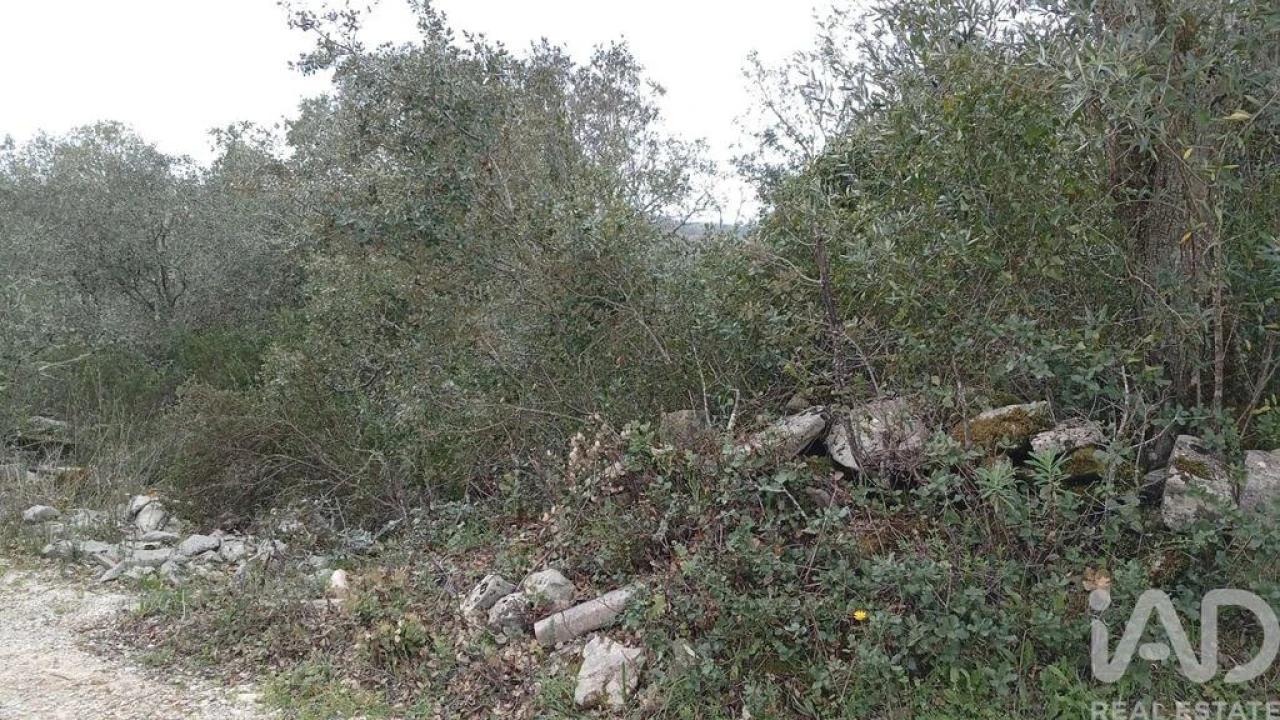 Terreno para Venda em Chãos Foto 19