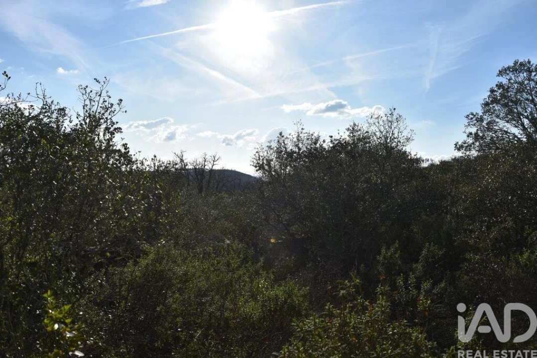 Terreno para Venda em Chãos Foto 25