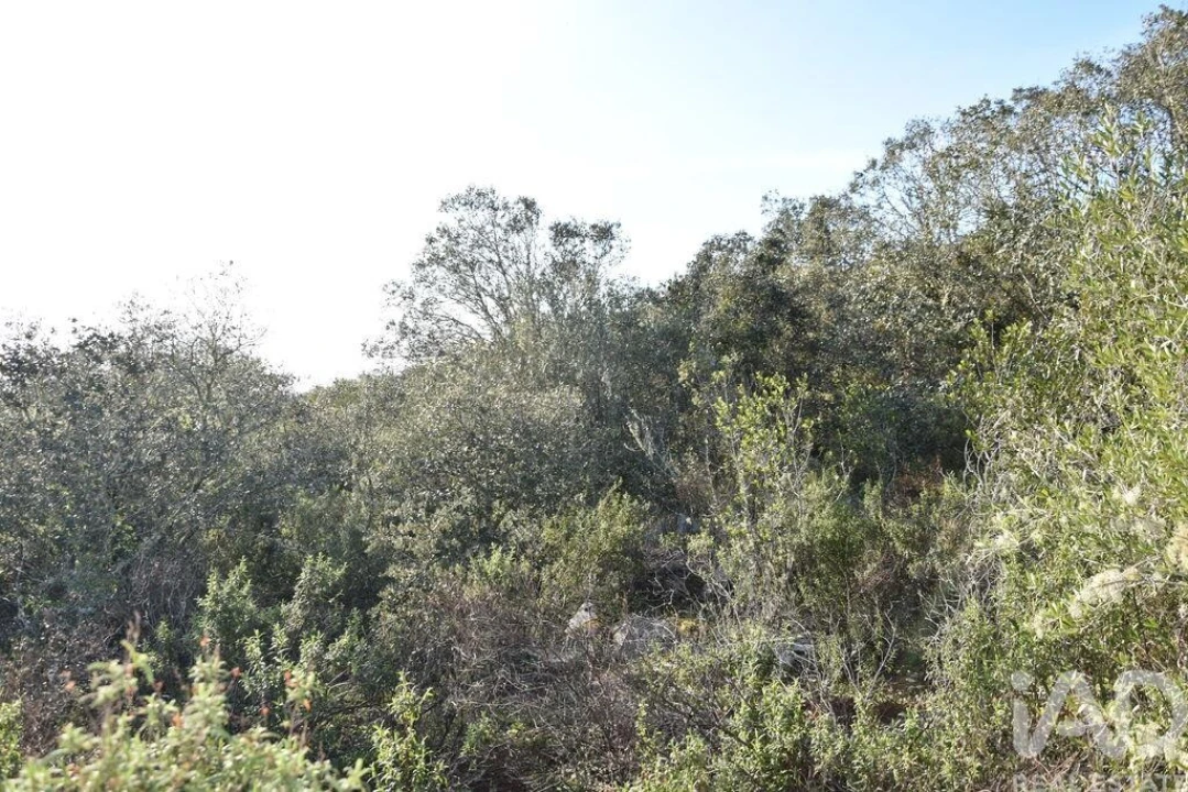 Terreno para Venda em Chãos Foto 8