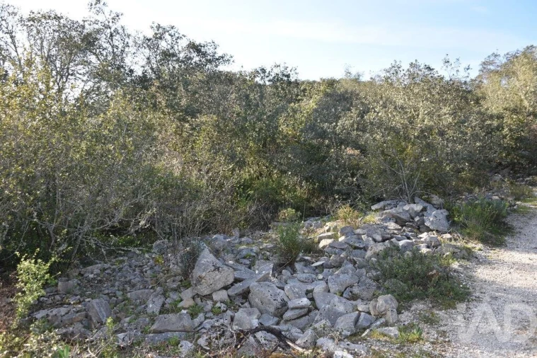 Terreno para Venda em Chãos Foto 21