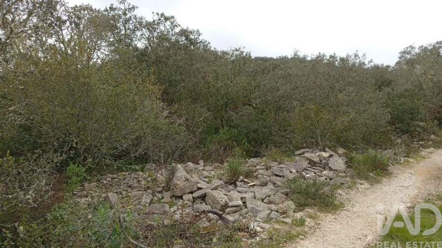 Terreno para Venda em Chãos Foto 20