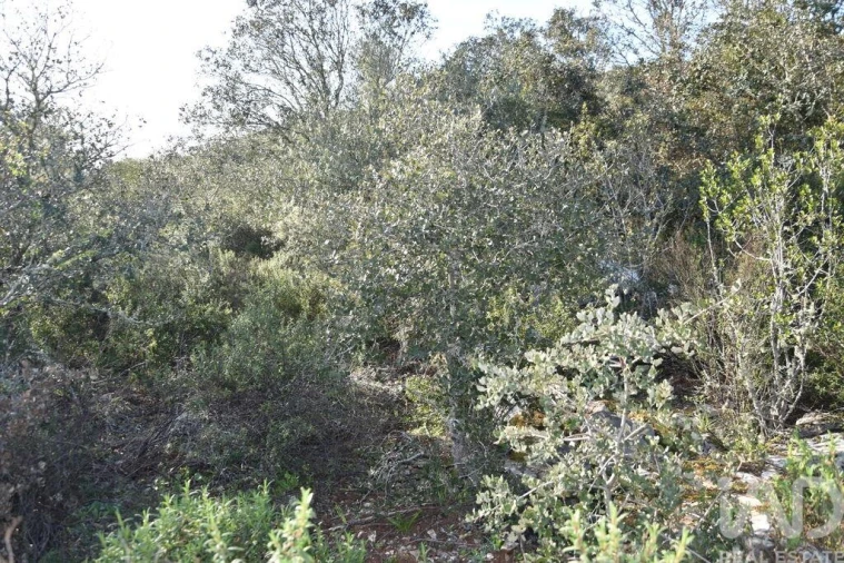Terreno para Venda em Chãos Foto 9